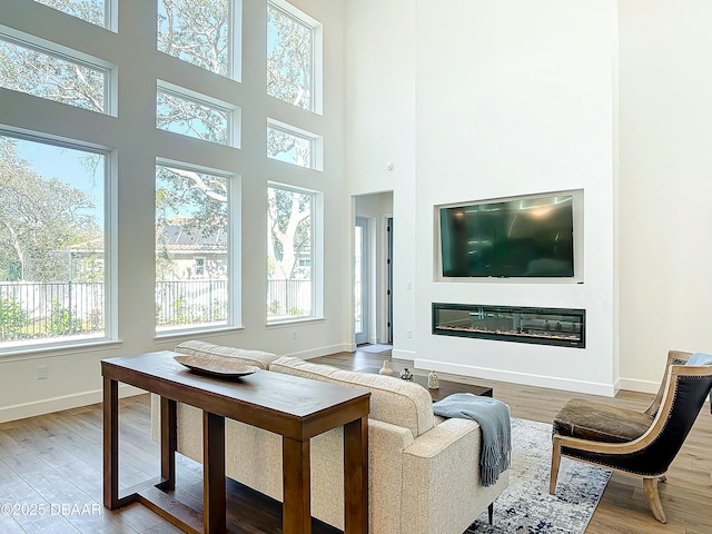 living room with hardwood / wood-style flooring and a high ceiling