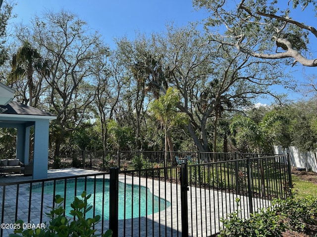 view of swimming pool featuring a patio area