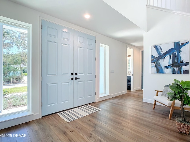 foyer entrance featuring a wealth of natural light and light wood-type flooring