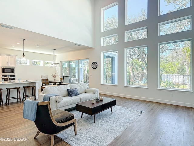 living room with light hardwood / wood-style floors and a healthy amount of sunlight