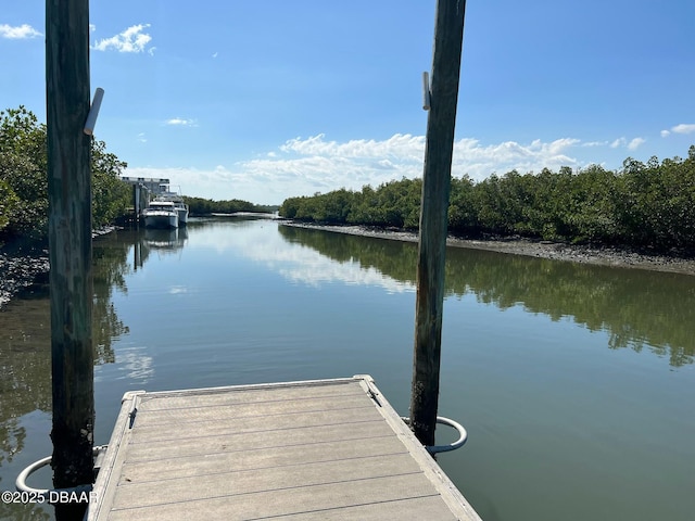 dock area featuring a water view