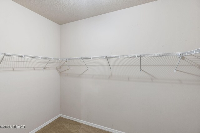 3830 Bourbon St, Port Orange, FL 32129 - photo 22