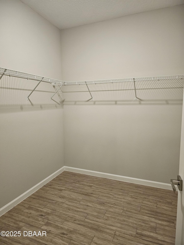 spacious closet with wood finished floors