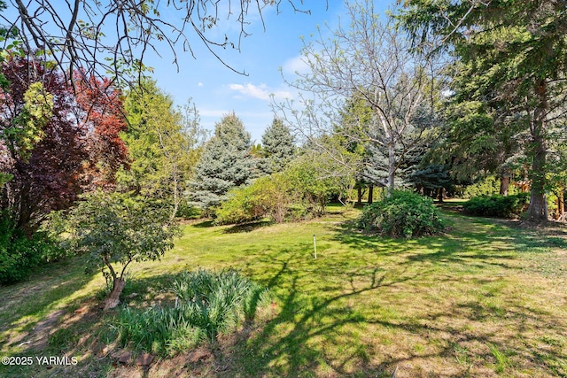 451 Pleasant Valley Pl, Yakima, WA 98908 - photo 35