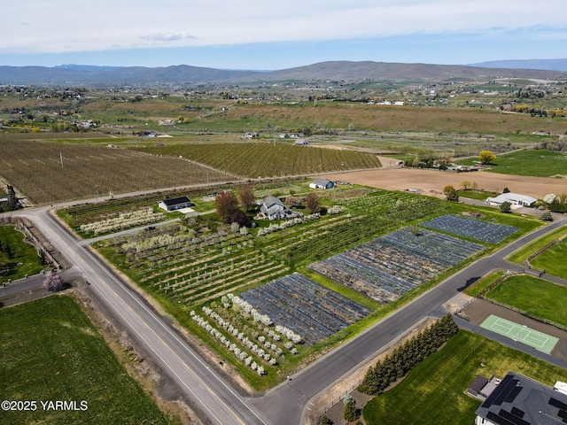 11901 Zier Rd, Yakima, WA 98908 - view of rural area with rows of crops and a mountainous background