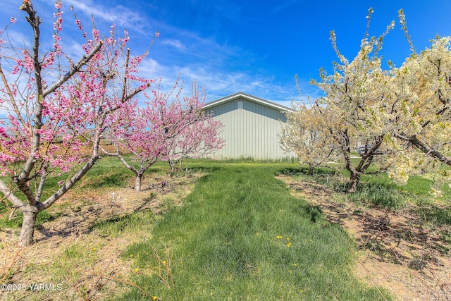 11901 Zier Rd, Yakima, WA 98908 - view of yard