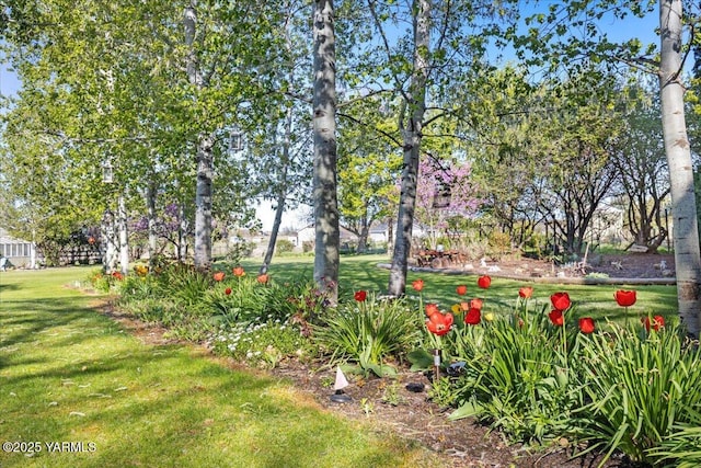10401 N 1739th Pr NW, Grandview, WA 98930 - view of yard