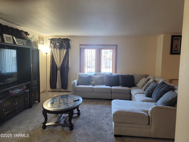 living room featuring carpet floors and a textured ceiling