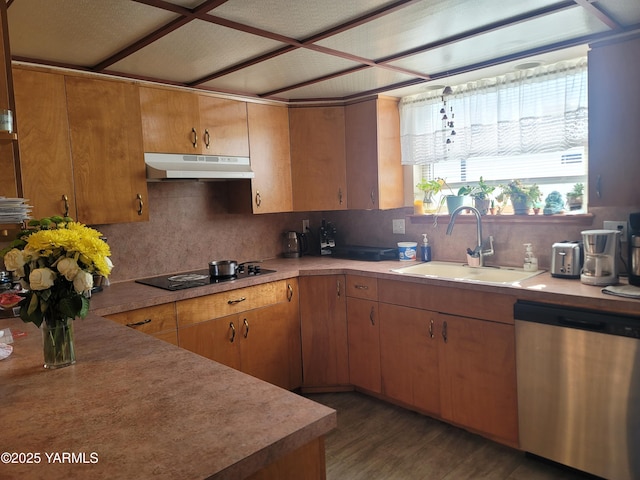 kitchen with dishwasher, black electric cooktop, light countertops, under cabinet range hood, and a sink