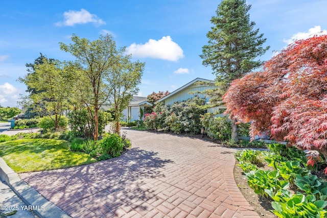 5902 Glacier Way, Yakima, WA 98908 - view of home's community with driveway and a lawn