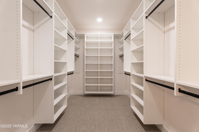 spacious closet featuring light colored carpet