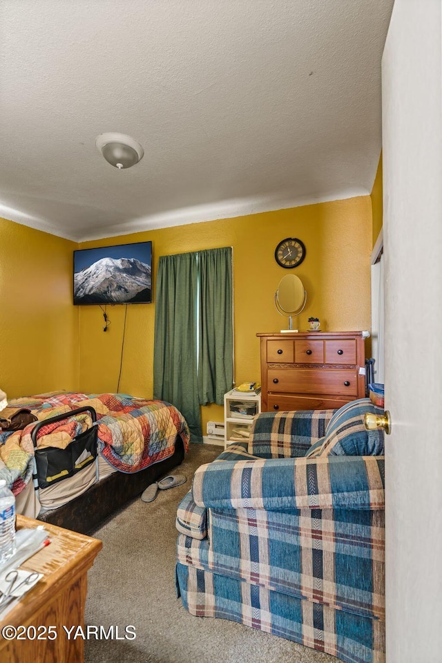 1311 W Mead Ave, Yakima, WA 98902 - carpeted bedroom with a baseboard heating unit