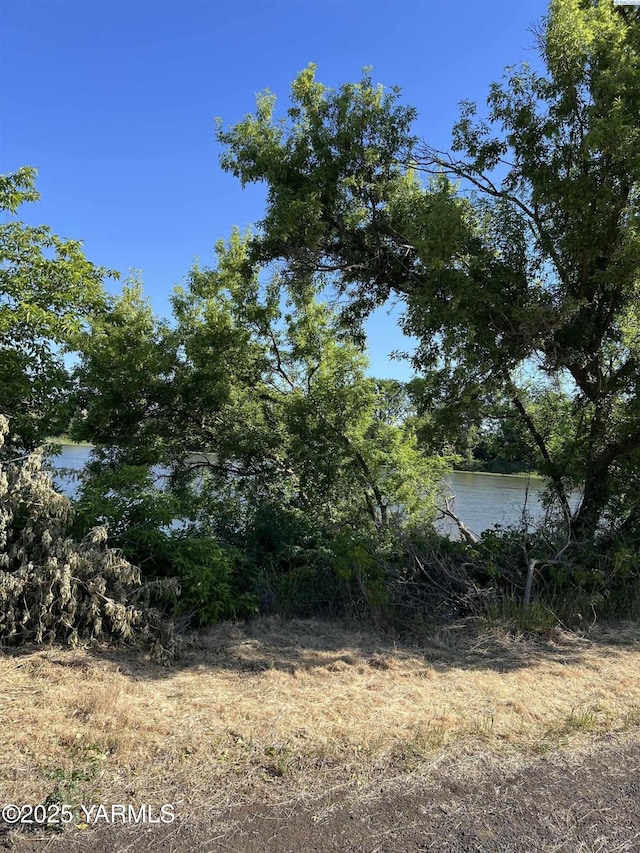 166903 Byron Rd, Prosser, WA 99350 - photo 12