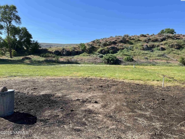 166903 Byron Rd, Prosser, WA 99350 - photo 10