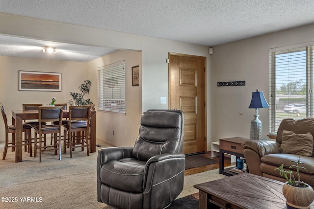 3603 Carol Ave, Yakima, WA 98902 - living area with a textured ceiling and carpet flooring