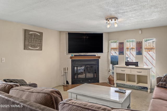 3603 Carol Ave, Yakima, WA 98902 - living room with a glass covered fireplace, carpet floors, and a textured ceiling