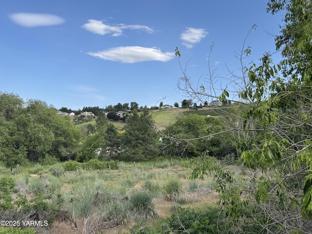 5811 Cowiche Canyon Rd, Yakima, WA 98908 - photo 14