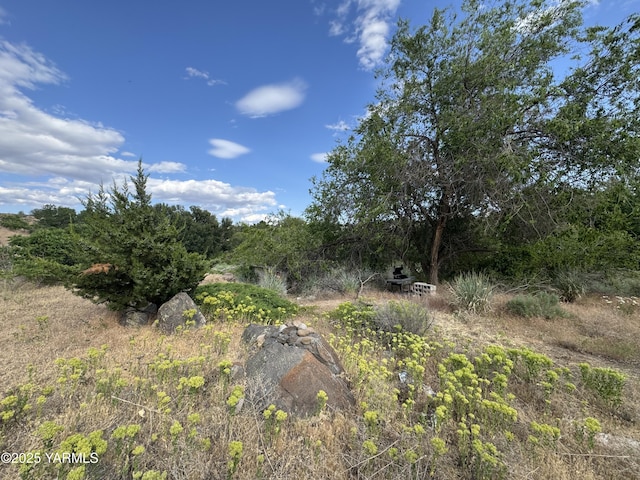 5811 Cowiche Canyon Rd, Yakima, WA 98908 - photo 12