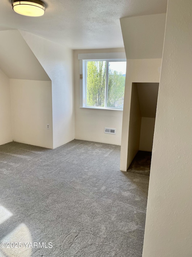 230 Krough Rd, Prosser, WA 99350 - additional living space featuring carpet floors and visible vents