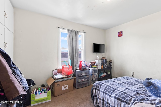 1306 S 6th Ave, Yakima, WA 98902 - view of carpeted bedroom