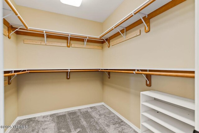 815 Trout Lake Ct, Yakima, WA 98901 - walk in closet featuring carpet floors