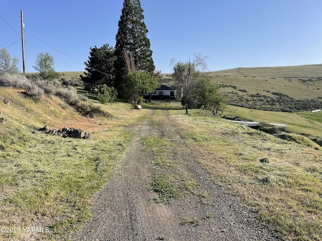 view of road featuring driveway and a rural view