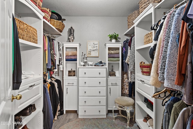 spacious closet featuring wood finished floors