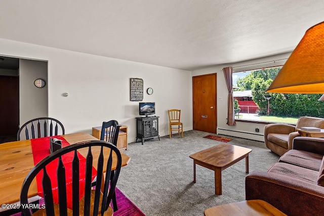 1501 W Chestnut Ave Unit 5, Yakima, WA 98902 - carpeted living room featuring baseboard heating and a wood stove