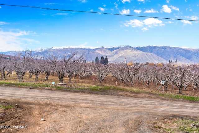 1555 W Tieton Rd, Tieton, WA 98947 - view of mountain background with rural landscape