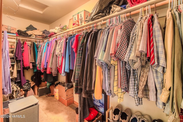 131 Latigo Ln, Yakima, WA 98901 - walk in closet featuring attic access
