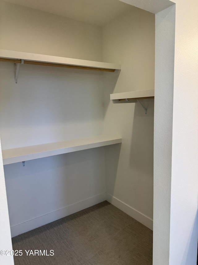 202 E Ian Ave, Ellensburg, WA 98926 - spacious closet featuring carpet