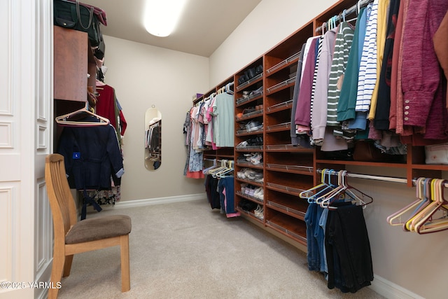 spacious closet with carpet floors