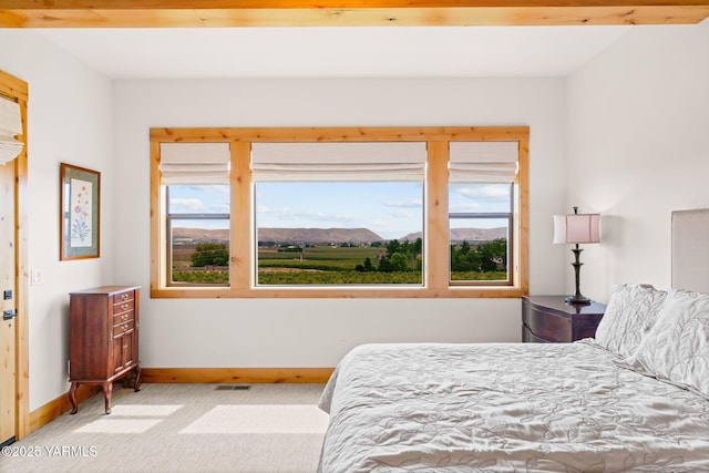 6300 Horizon View Ln, Yakima, WA 98901 - photo 17