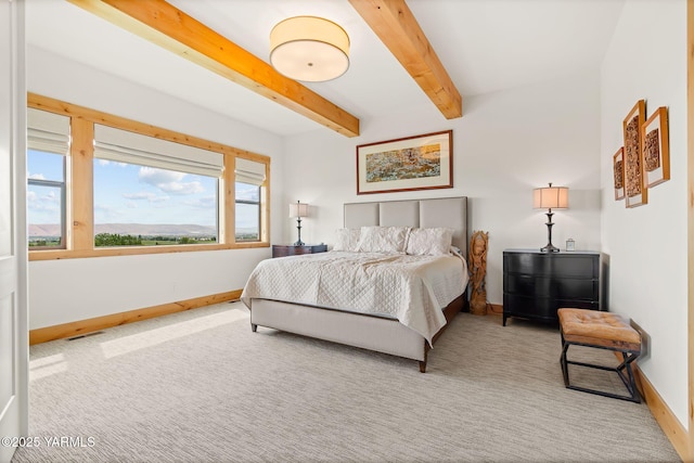 6300 Horizon View Ln, Yakima, WA 98901 - photo 16