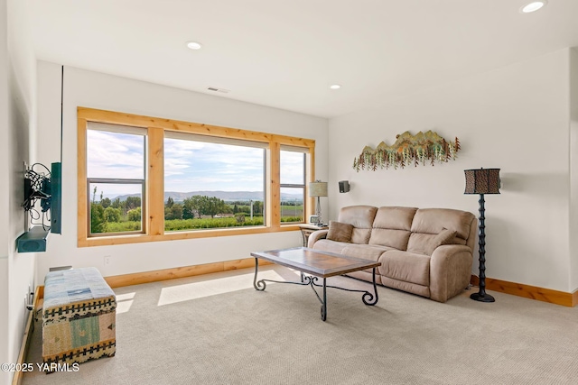 6300 Horizon View Ln, Yakima, WA 98901 - photo 25