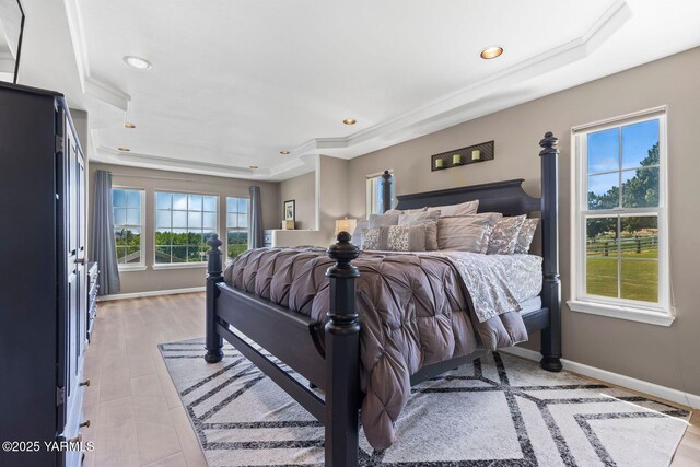 190 Shadbolt Rd, Yakima, WA 98908 - bedroom featuring a tray ceiling, recessed lighting, light wood-style floors, and baseboards