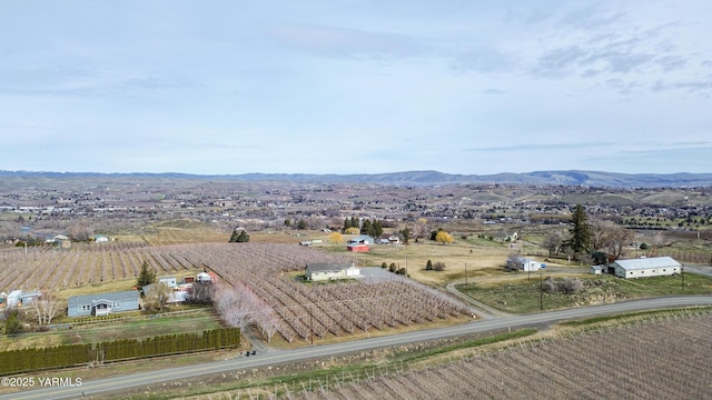 bird's eye view with a mountain view and a rural view