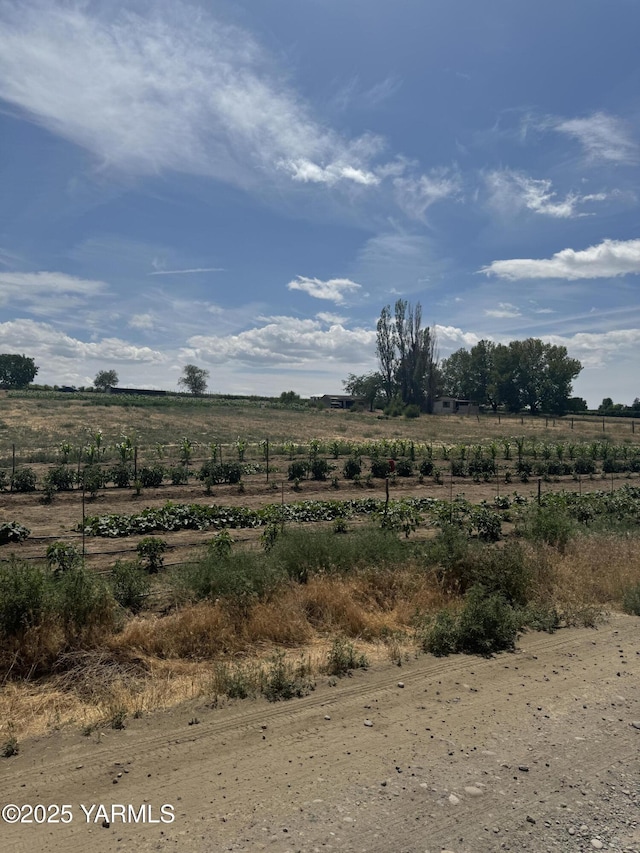 460 Sun Acres Rd, Zillah, WA 98953 - photo 29