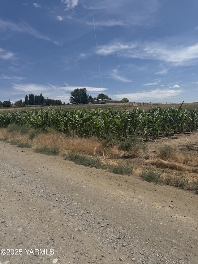 460 Sun Acres Rd, Zillah, WA 98953 - photo 28