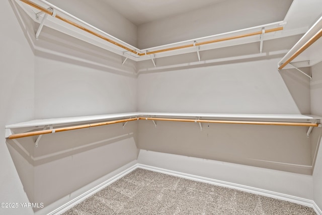 1008 S 91st Ave, Yakima, WA 98908 - walk in closet with carpet floors