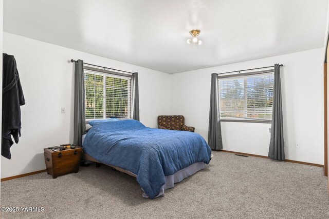 87 Spring Hill Ln, Selah, WA 98942 - photo 8