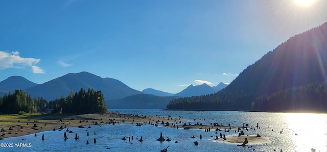 30711 Hwy 410, Naches, WA 98937 - water view featuring a mountain backdrop