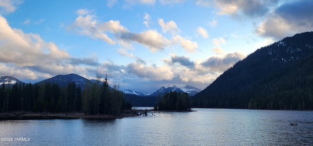 30711 Hwy 410, Naches, WA 98937 - water view with mountains