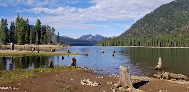 30711 Hwy 410, Naches, WA 98937 - water view with a mountainous background and a forest