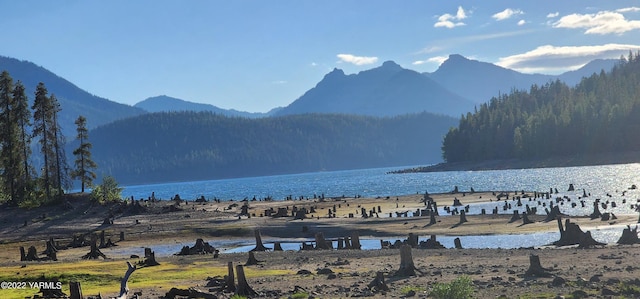 30711 Hwy 410, Naches, WA 98937 - view of mountain background with a nearby body of water