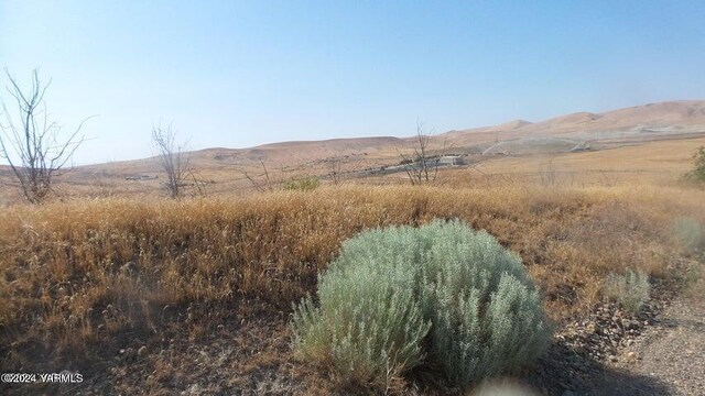 NNA Cheyne Road, Zillah, WA 98953