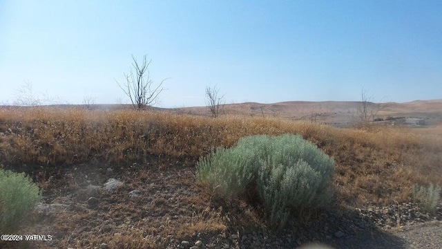 NNA Cheyne Road, Zillah, WA 98953