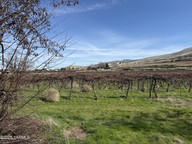 TBD Richards Rd, Prosser, WA 99350