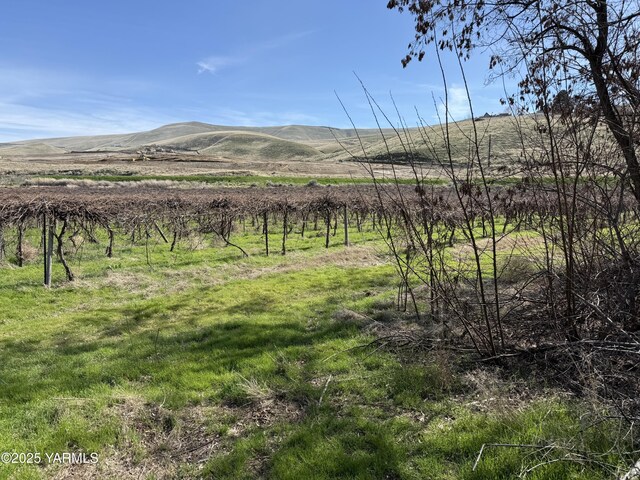 TBD Richards Rd, Prosser, WA 99350