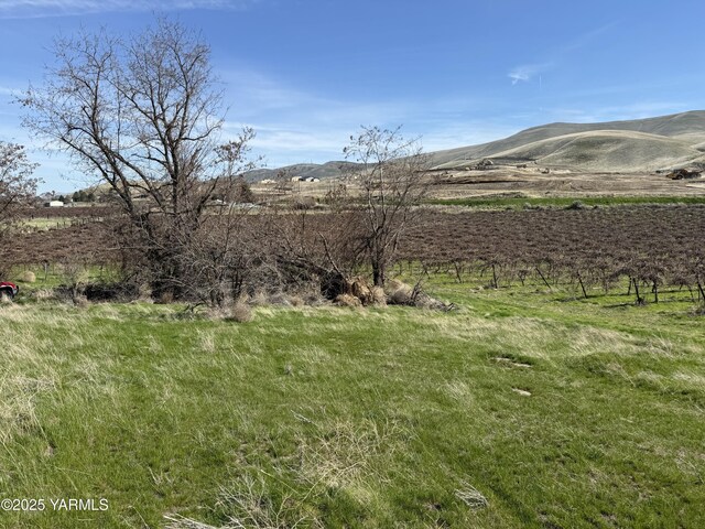 TBD Richards Rd, Prosser, WA 99350
